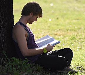 Decorative image of PSC student studying outside underneath a tree